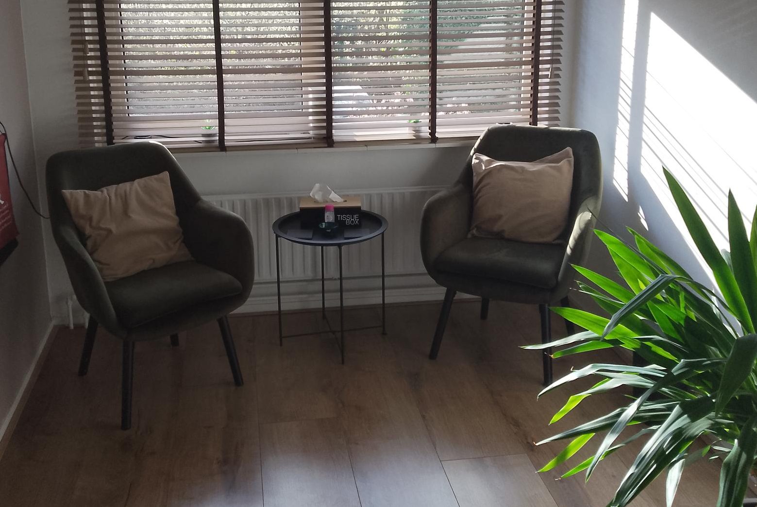 Stelmaker 29 - Peize Stress Coaching Groningen Drenthe